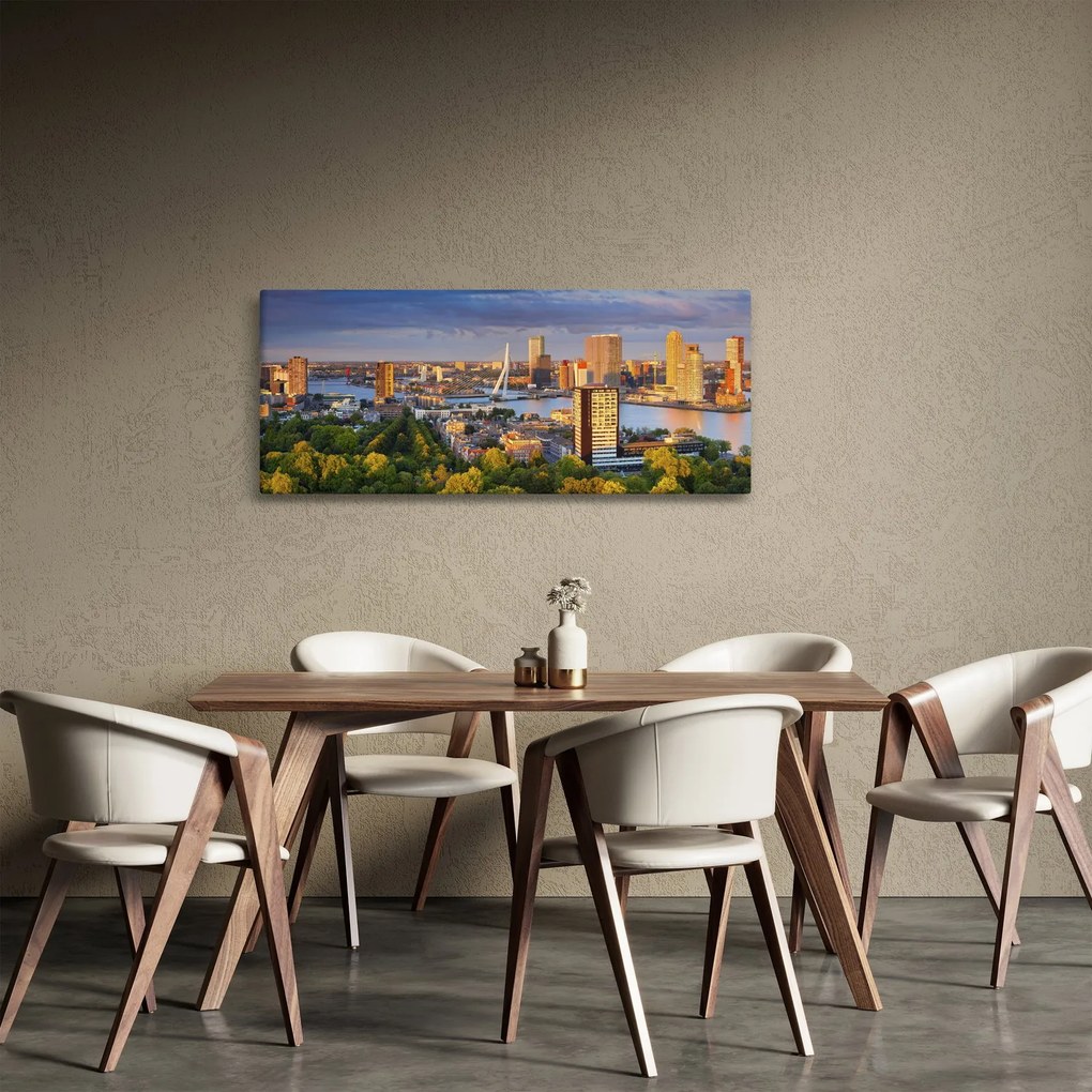 Obraz - Panorama Rotterdamu, Holandsko (120x50 cm)