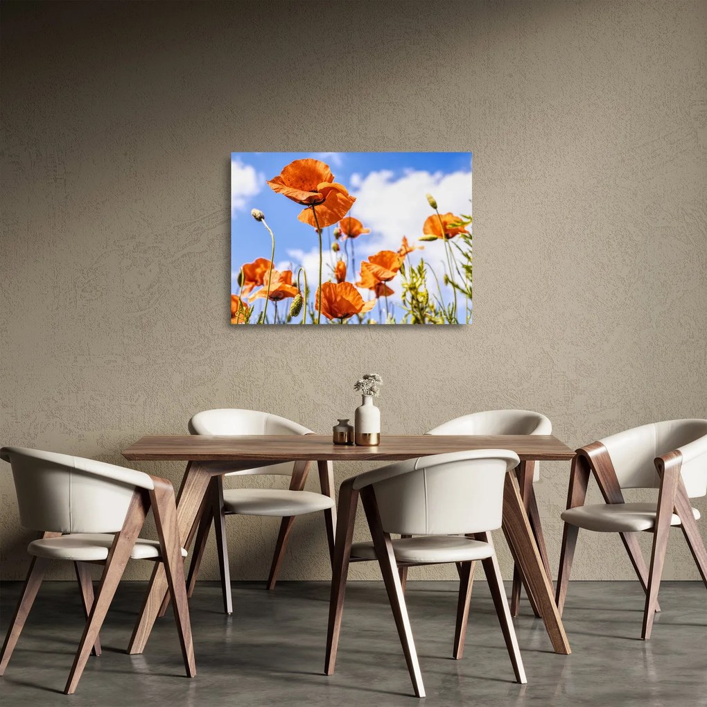 Sklenený obraz vlčích makov (70x50 cm)