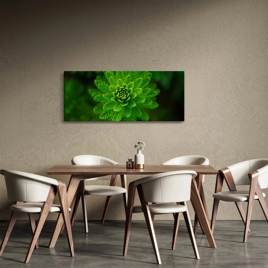 Obraz ihličnanu (120x50 cm)