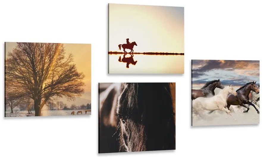 Set obrazov pre milovníkov koní Varianta: 4x 60x60