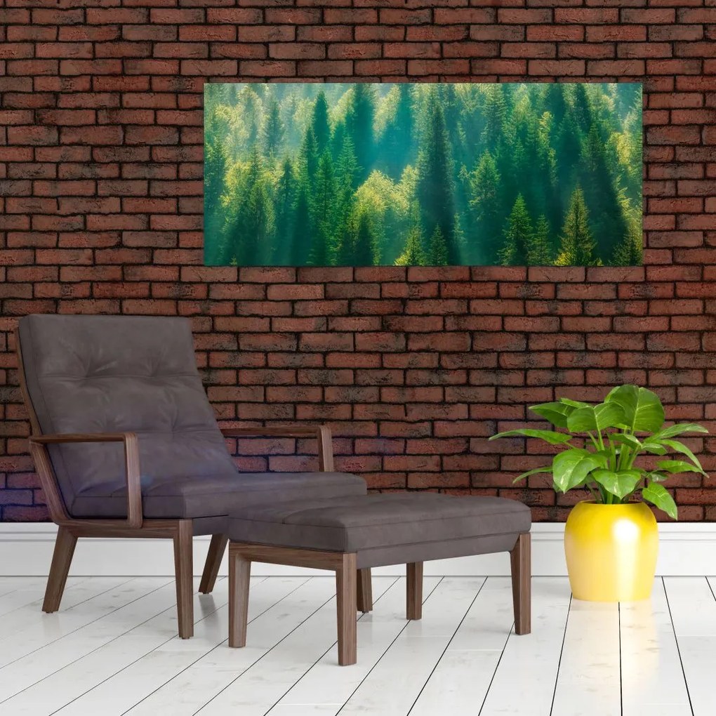 Obraz - Borovicový les (120x50 cm)