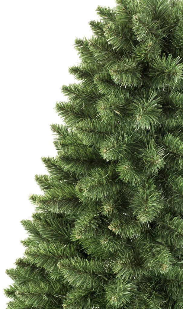 Vianočný stromček Borovica na pníku 180 cm