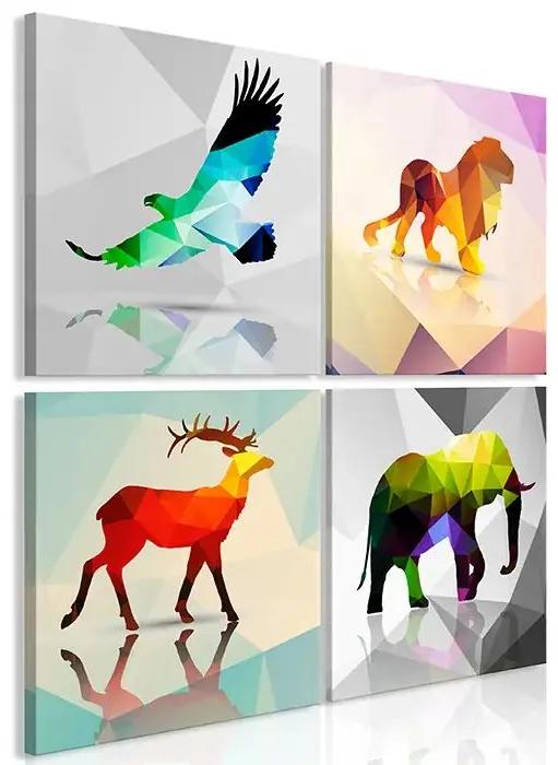 Obraz - Colourful Animals (4 Parts) Veľkosť: 40x40, Verzia: Na talianskom plátne
