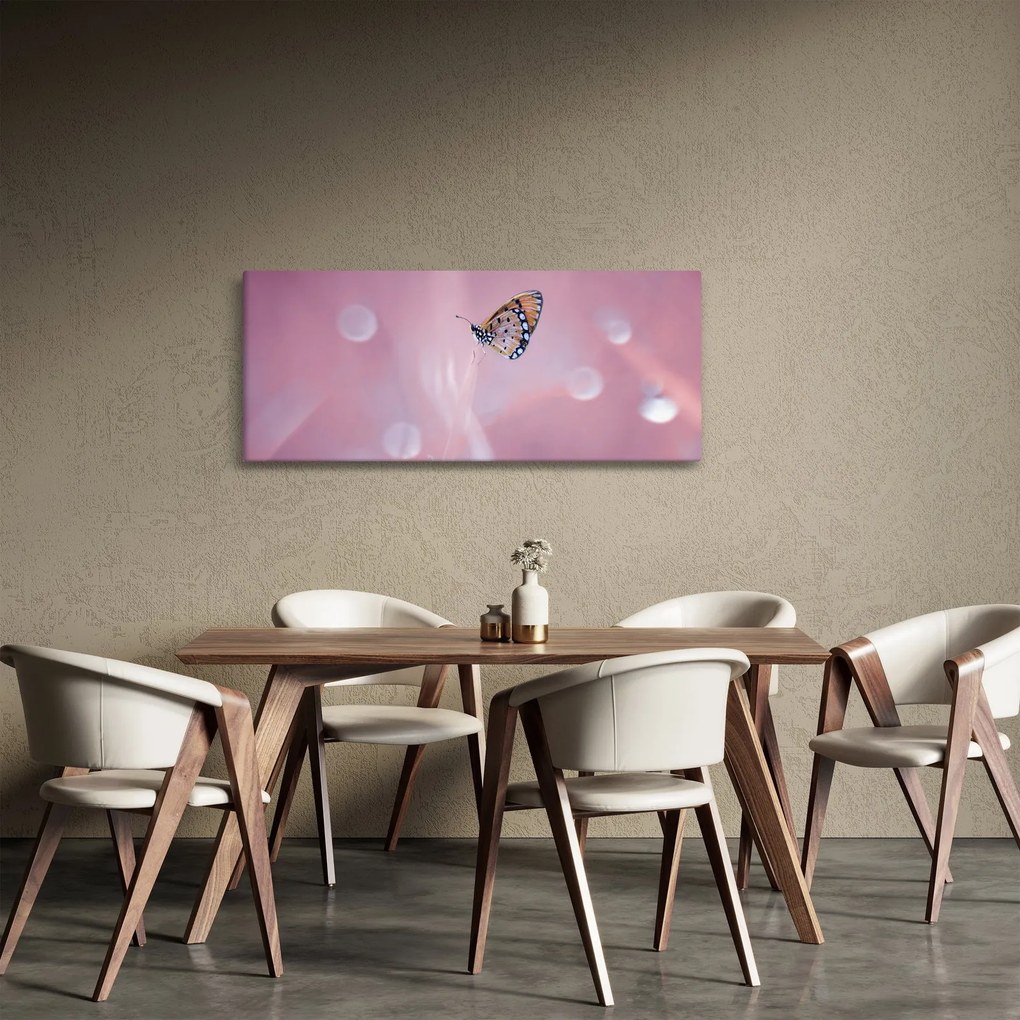 Obraz - Motýlik (120x50 cm)