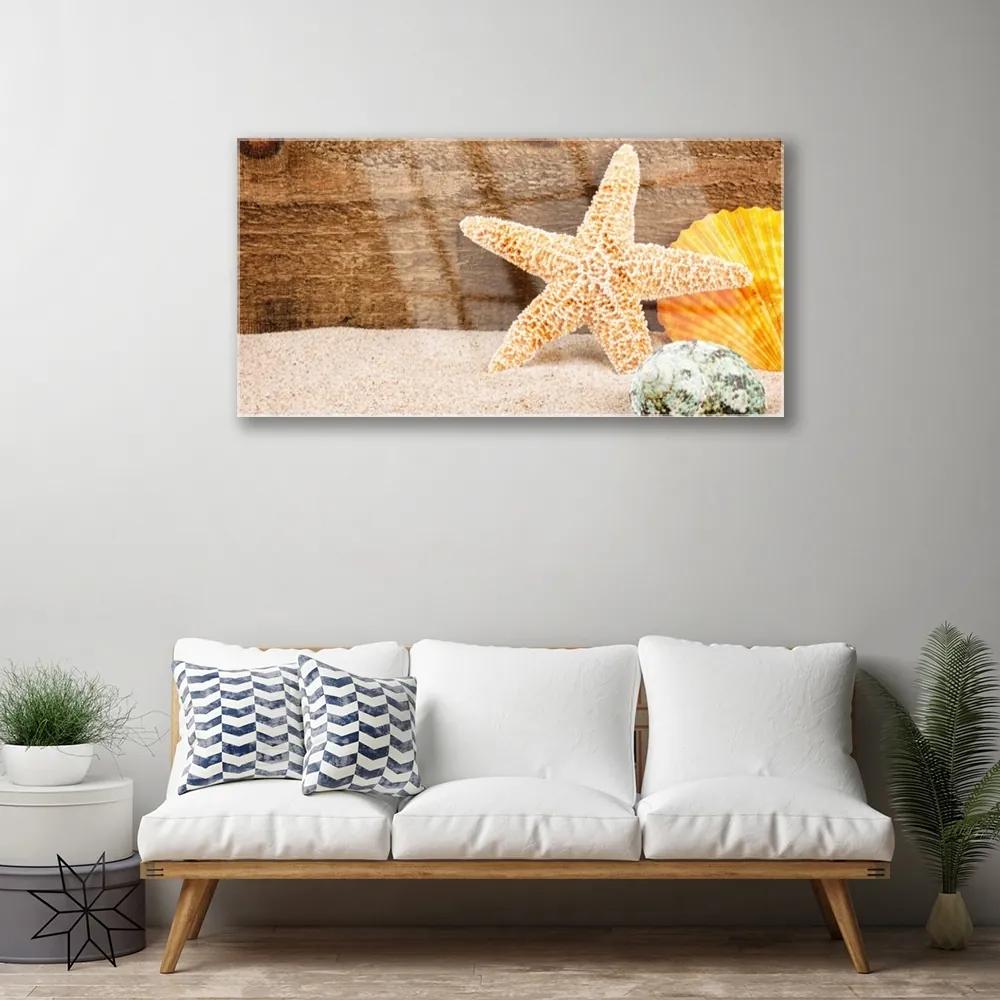 Skleneny obraz Piesok hviezdica umenie 140x70 cm
