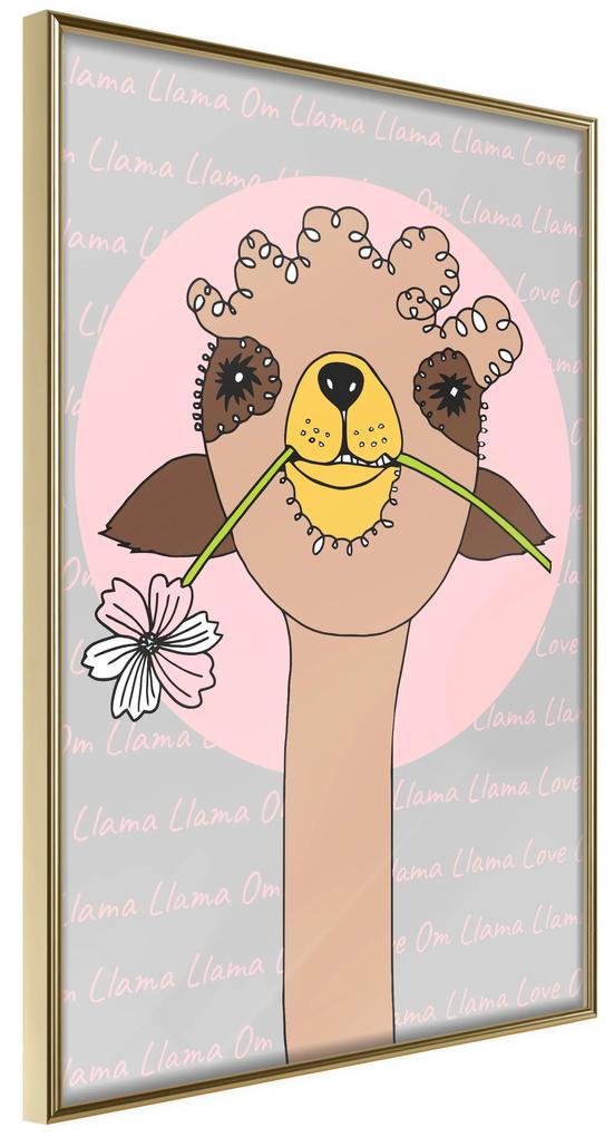Artgeist Plagát - Happy Llama [Poster] Veľkosť: 30x45, Verzia: Zlatý rám s passe-partout