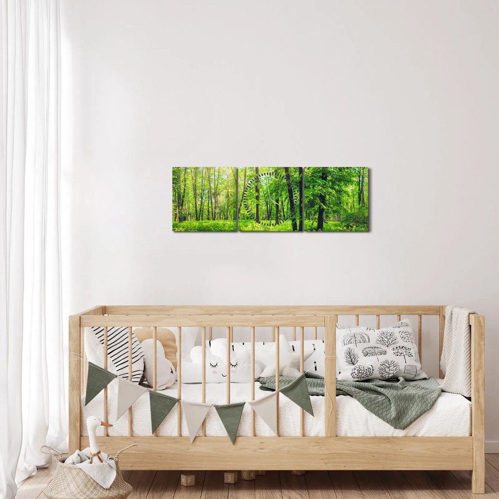 Obraz - Jarný listnatý les (s hodinami) (90x30 cm)