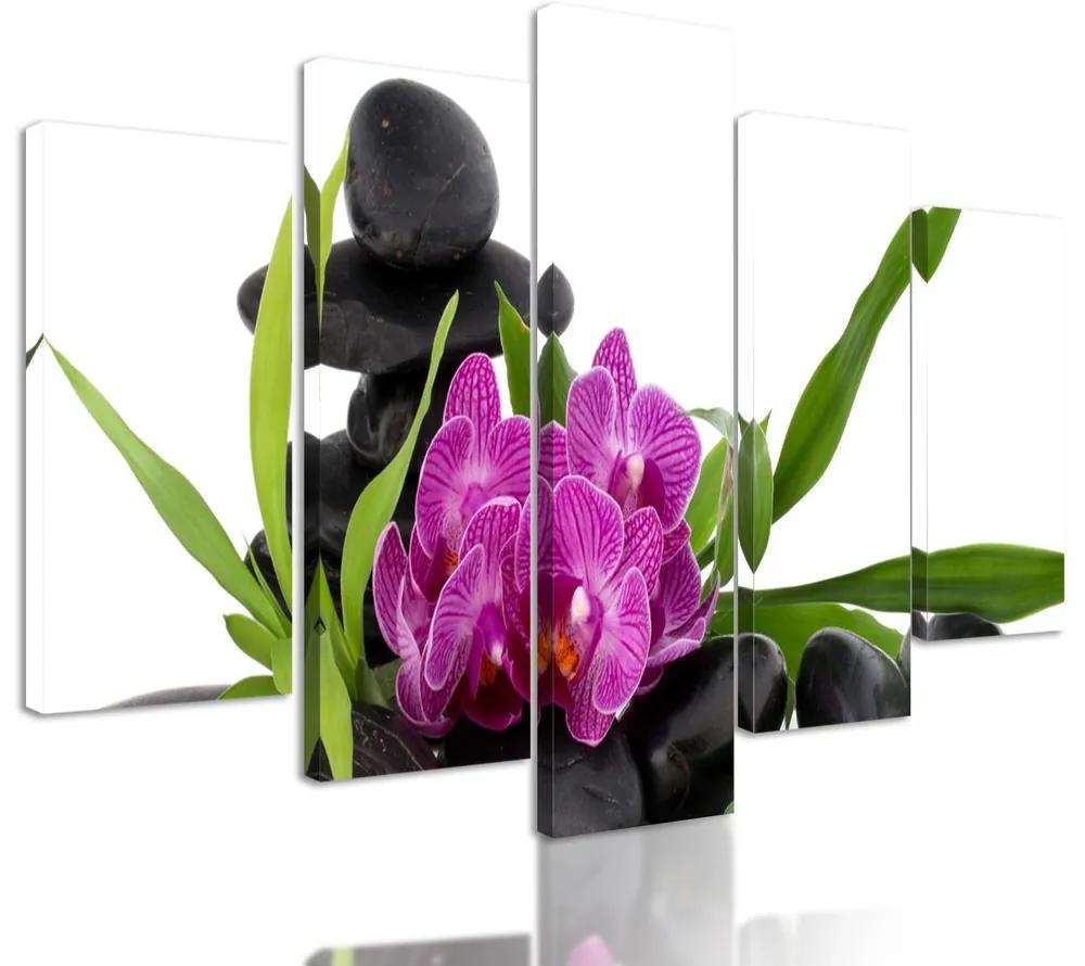 5-dielny obraz krásny kvet orchidei v SPA zátiší