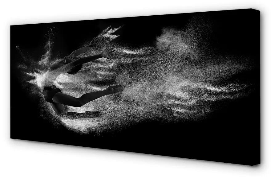 Obraz canvas Žena baletné dymové šedé pozadie 100x50 cm