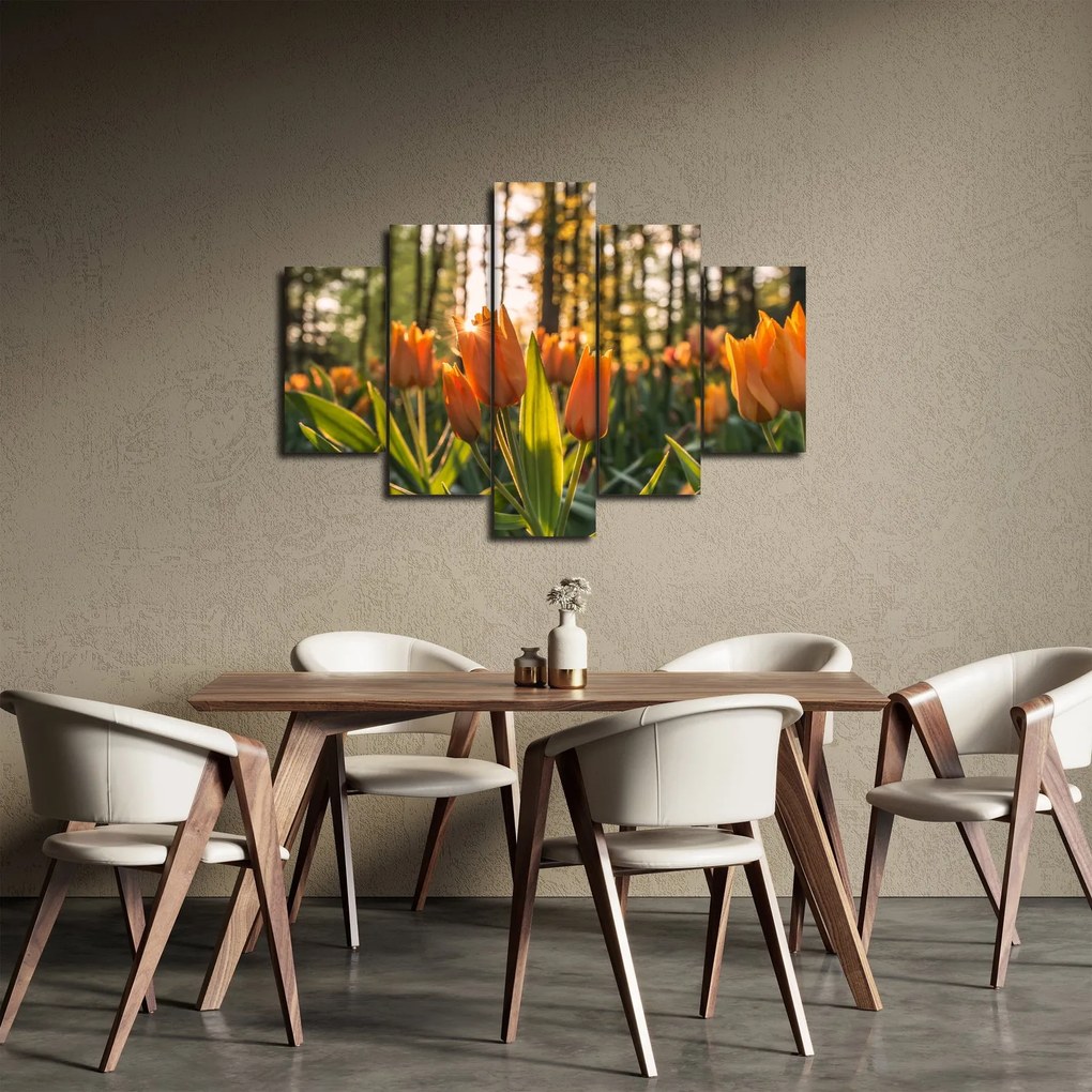 Obraz - oranžové tulipány (150x105 cm)
