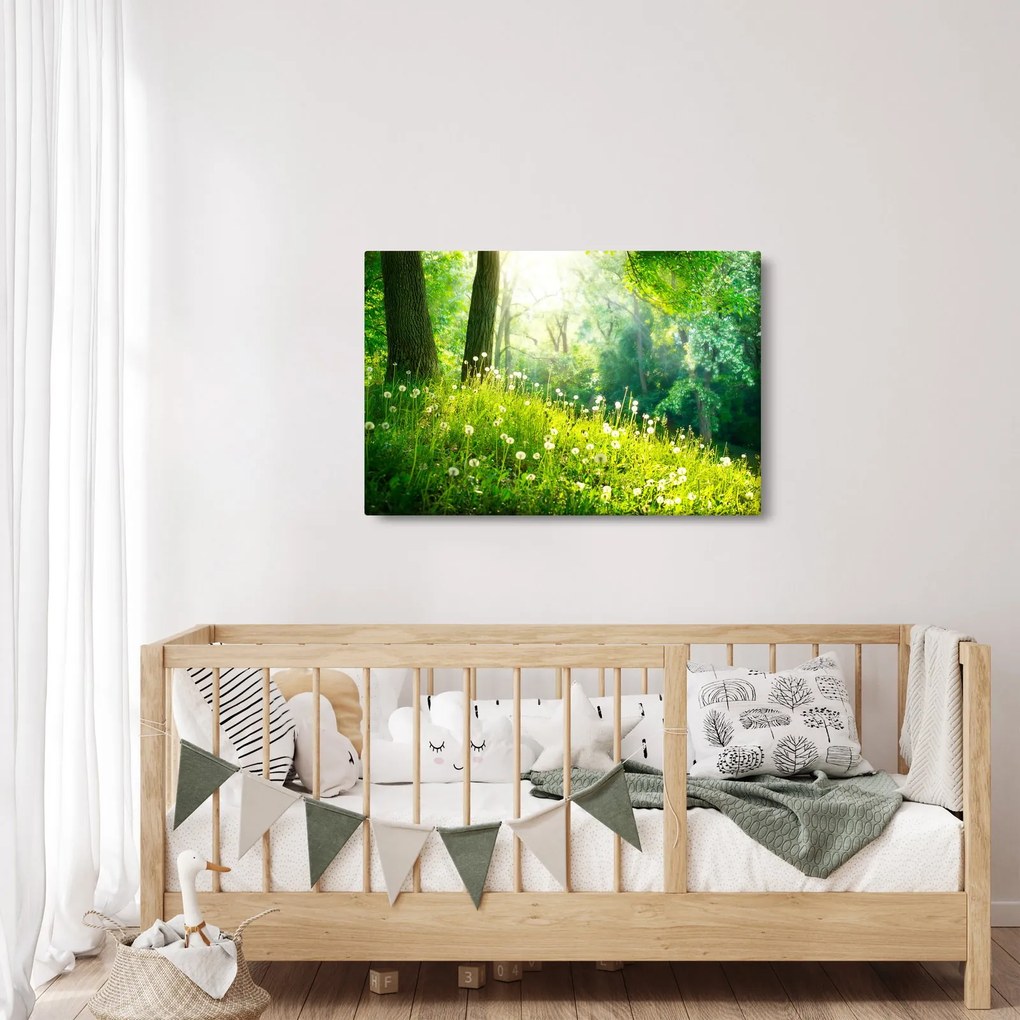 Obraz - Magická lúka plná púpav (90x60 cm)