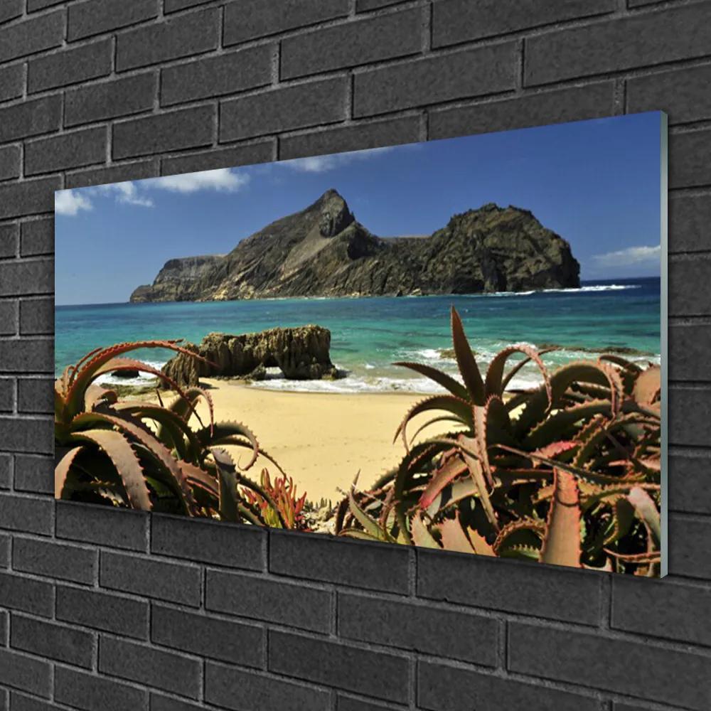 Skleneny obraz Pláž more skala príroda 140x70 cm