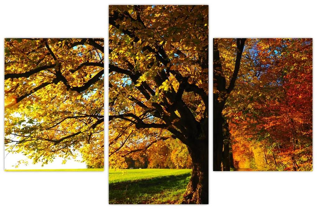 Obraz jesennej krajiny