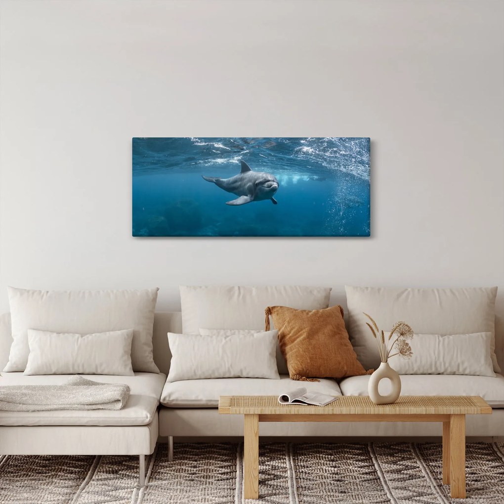 Obraz - Delfín pod hladinou (120x50 cm)