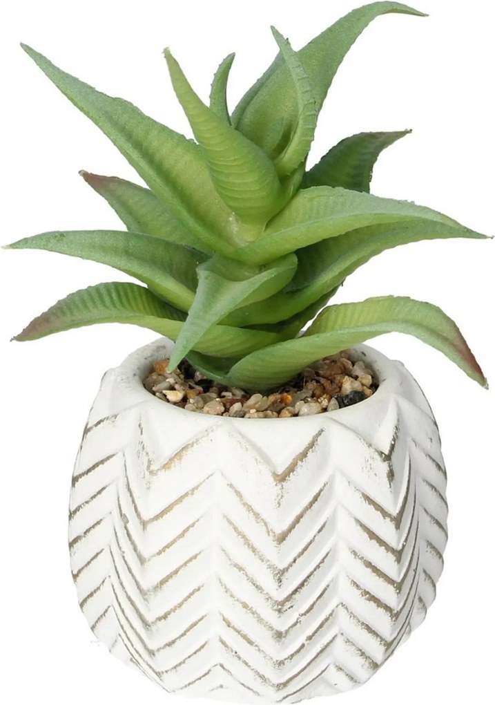 Dekorácie Aloes I 14cm