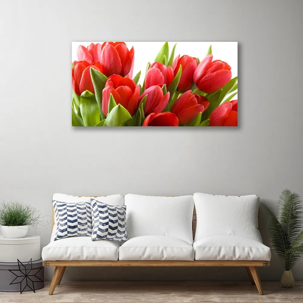 Obraz na plátne Tulipány kvety rastlina 140x70 cm