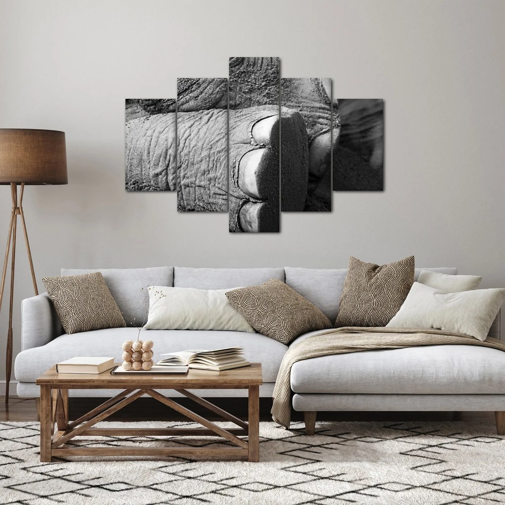 Obraz - Slonia noha (150x105 cm)