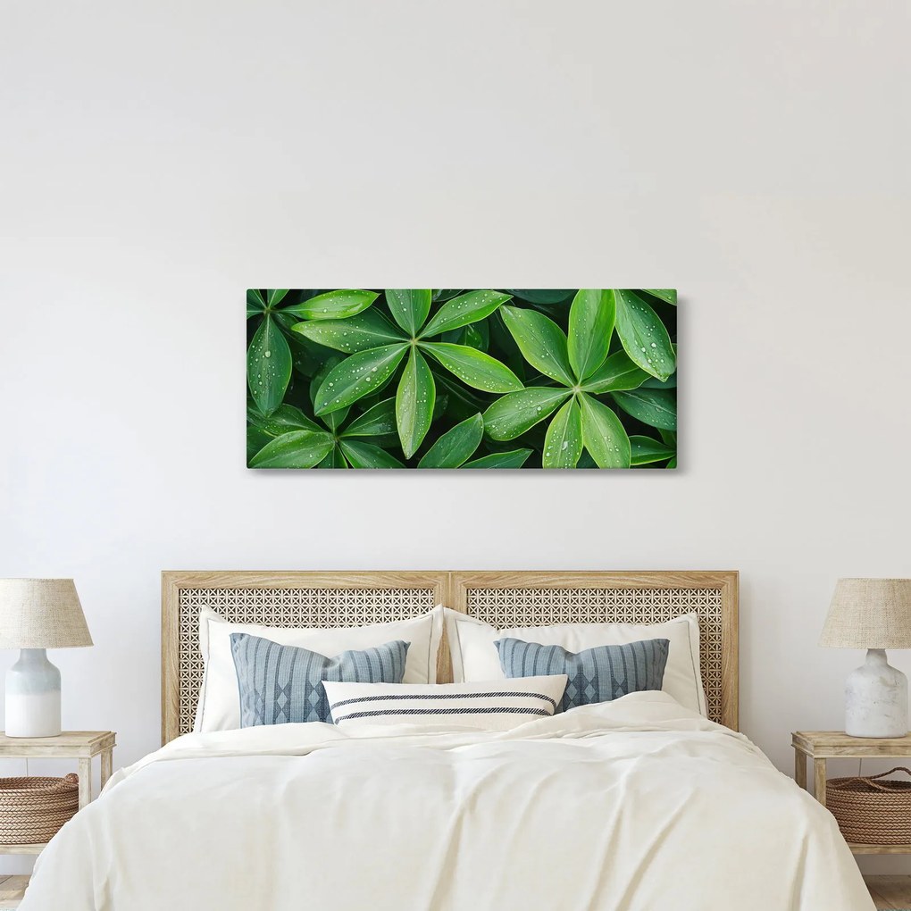 Obraz - Listy s kvapkami rosy (120x50 cm)
