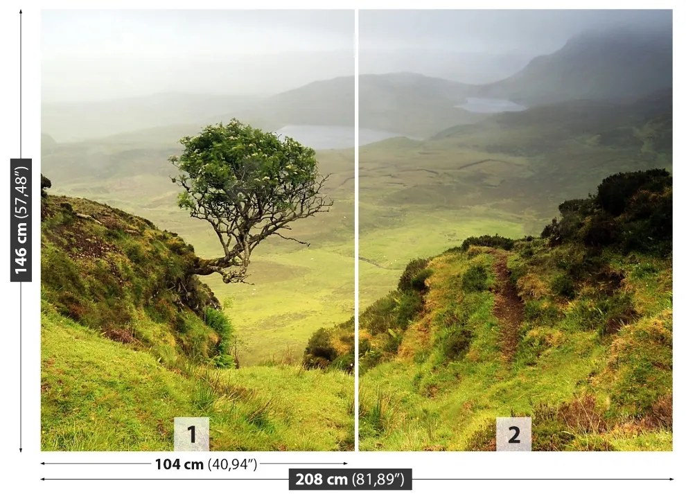 Fototapeta Vliesová Isle of skye škótsko 104x70 cm