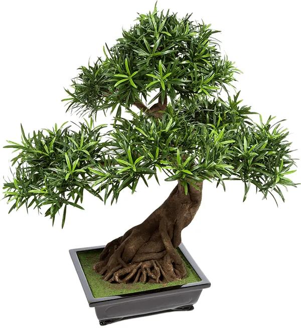 Umelá rastlina Podocarpus bonsai 80 cm