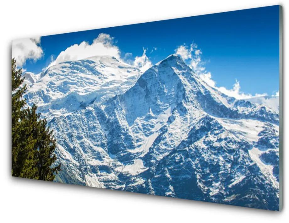 Obraz na akrylátovom skle Hora strom príroda 140x70cm