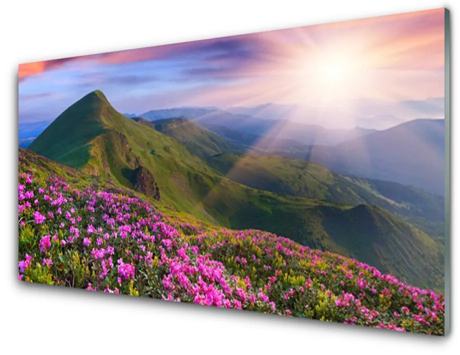 Obraz plexi Hory lúka kvety príroda 140x70 cm