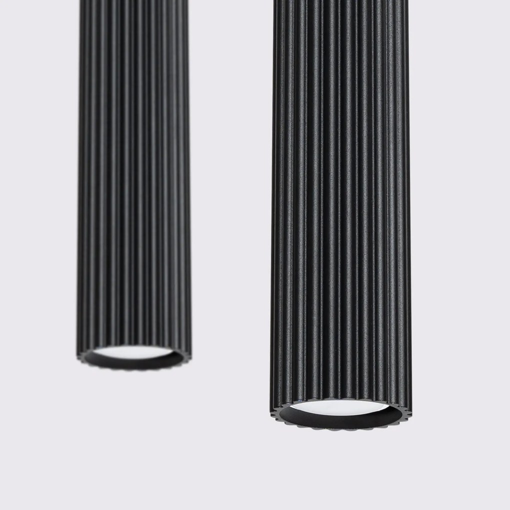 Závesné svietidlo Karbon, 2x čierne kovové tienidlo