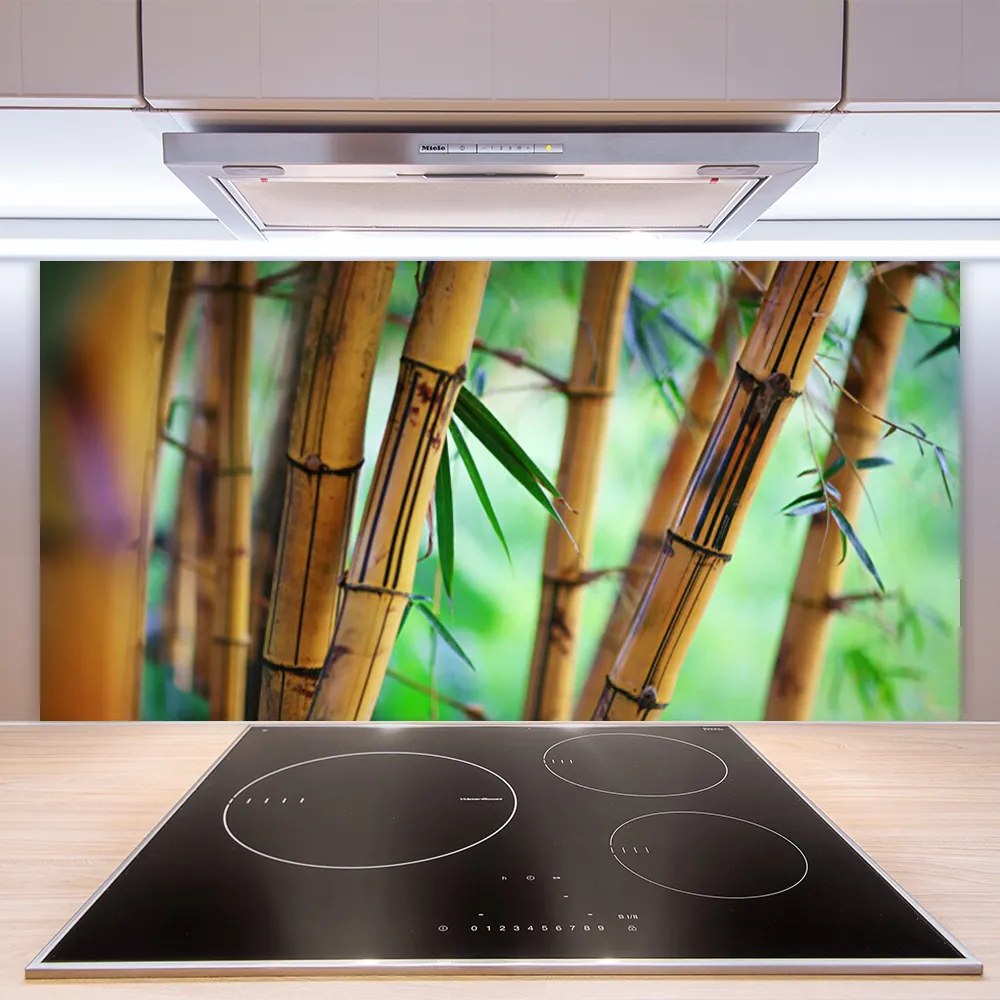 Nástenný panel  Bambus príroda rastlina 120x60 cm