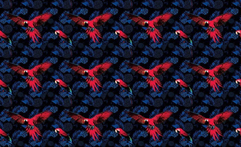 Fototapeta - Papagáj (152,5x104 cm)