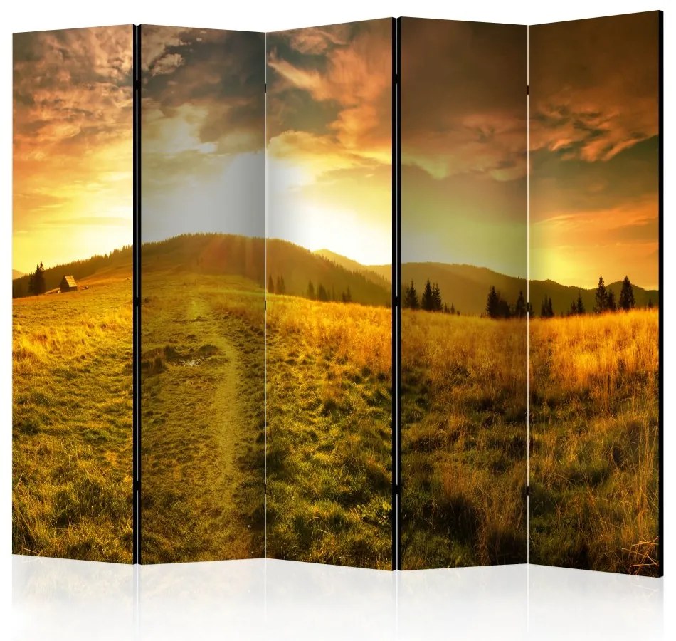 Artgeist Paraván - Road to the Hill II [Room Dividers]