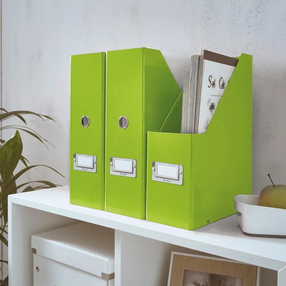 Kartónový organizér na dokumenty Click&Store – Leitz
