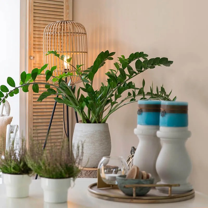 Inteligentná rustikálna stojaca lampa ratan vrátane WiFi A60 - Manila