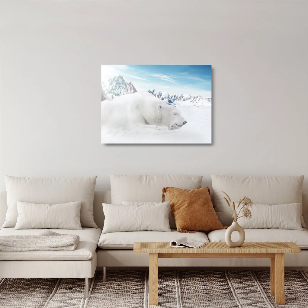 Sklenený obraz - Ľadový medveď (70x50 cm)