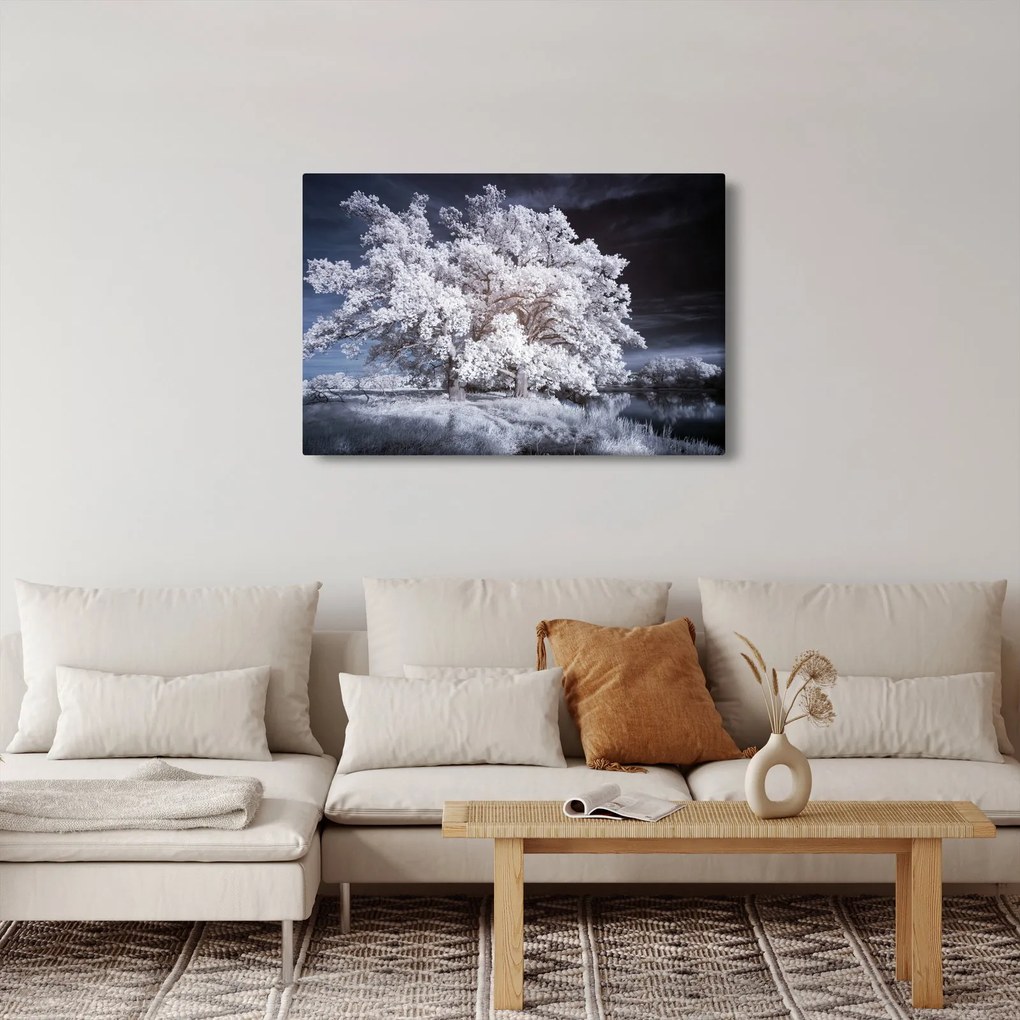 Obraz - Snehobiely strom (90x60 cm)