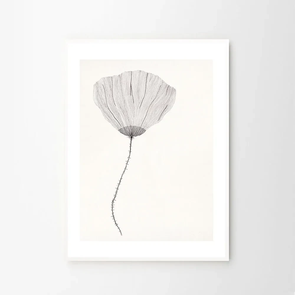The Poster Club Plagát Poppy by Ana Frois 40x50 cm