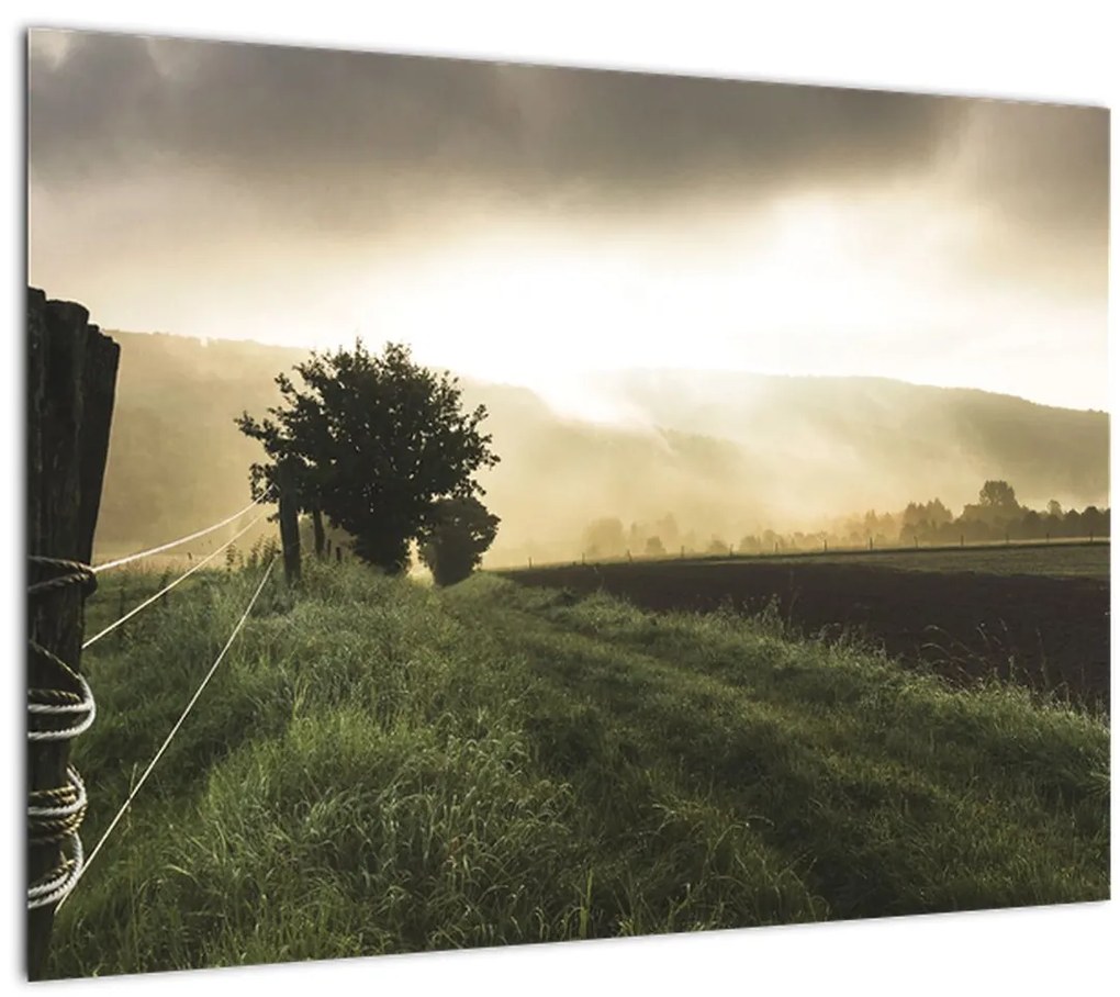 Sklenený obraz lúky (70x50 cm)