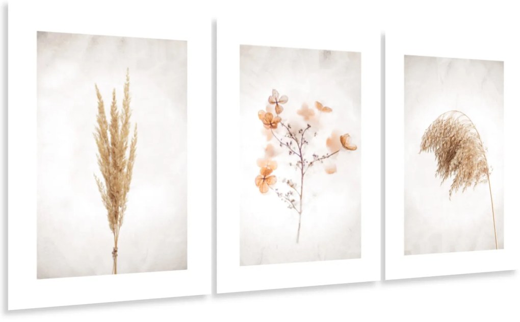Gario Sada plagátov Dry nature - 3 dielna Farba rámu: Bez rámu, Rozmery: 99 x 45 cm