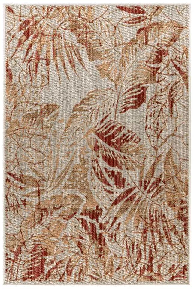 Lalee Kusový koberec Capri 307 Multi Rozmer koberca: 120 x 170 cm