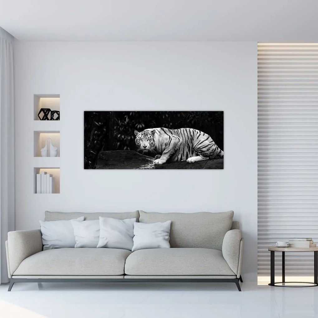 Obraz - Tiger albín, čiernobiely (120x50 cm)