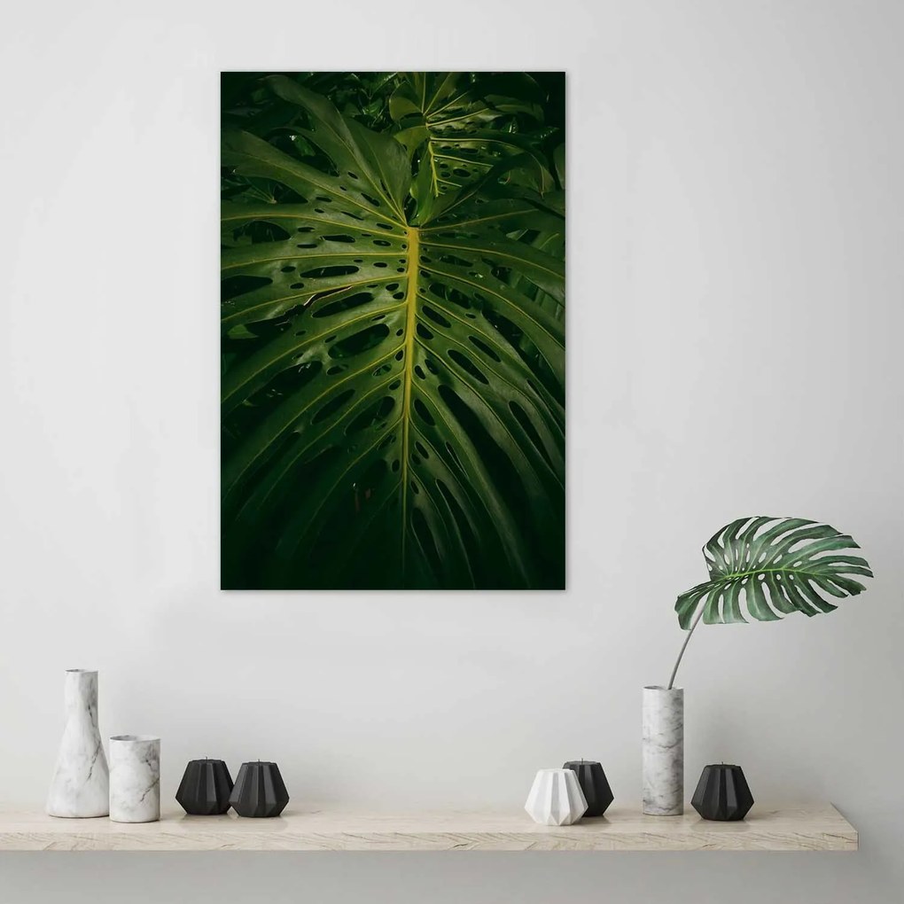 Gario Plagát Monstera - list z prírody Farba rámu: Biela, Rozmery: 30 x 45 cm