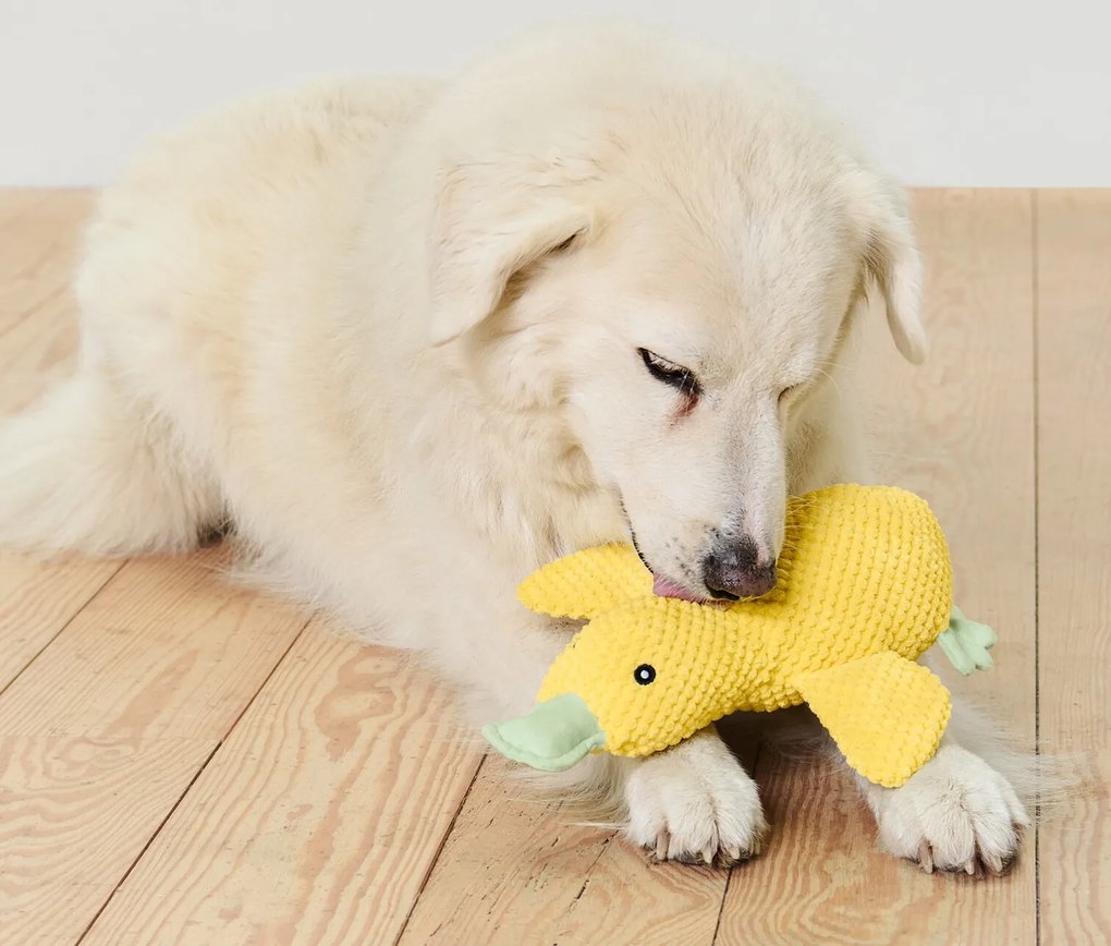Plyšová hračka pre psy »Ente«