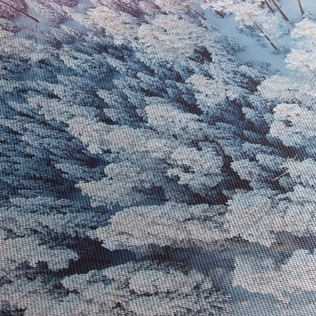 Obraz zasnežených stromov (90x60 cm)