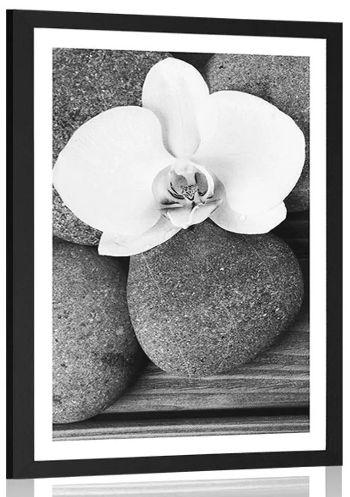 Plagát s paspartou wellness kamene a orchidea na drevenom pozadí v čiernobielom prevedení - 30x45 silver