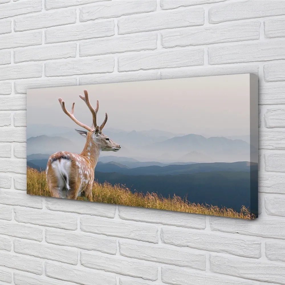 Obraz na plátne jeleň hory 120x60 cm