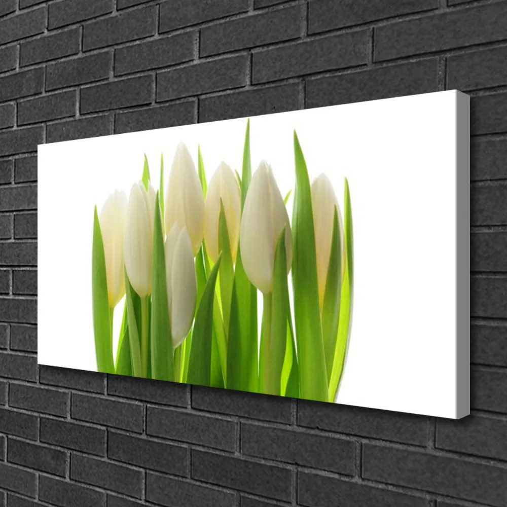 Obraz na plátne Tulipány rastlina príroda 125x50 cm