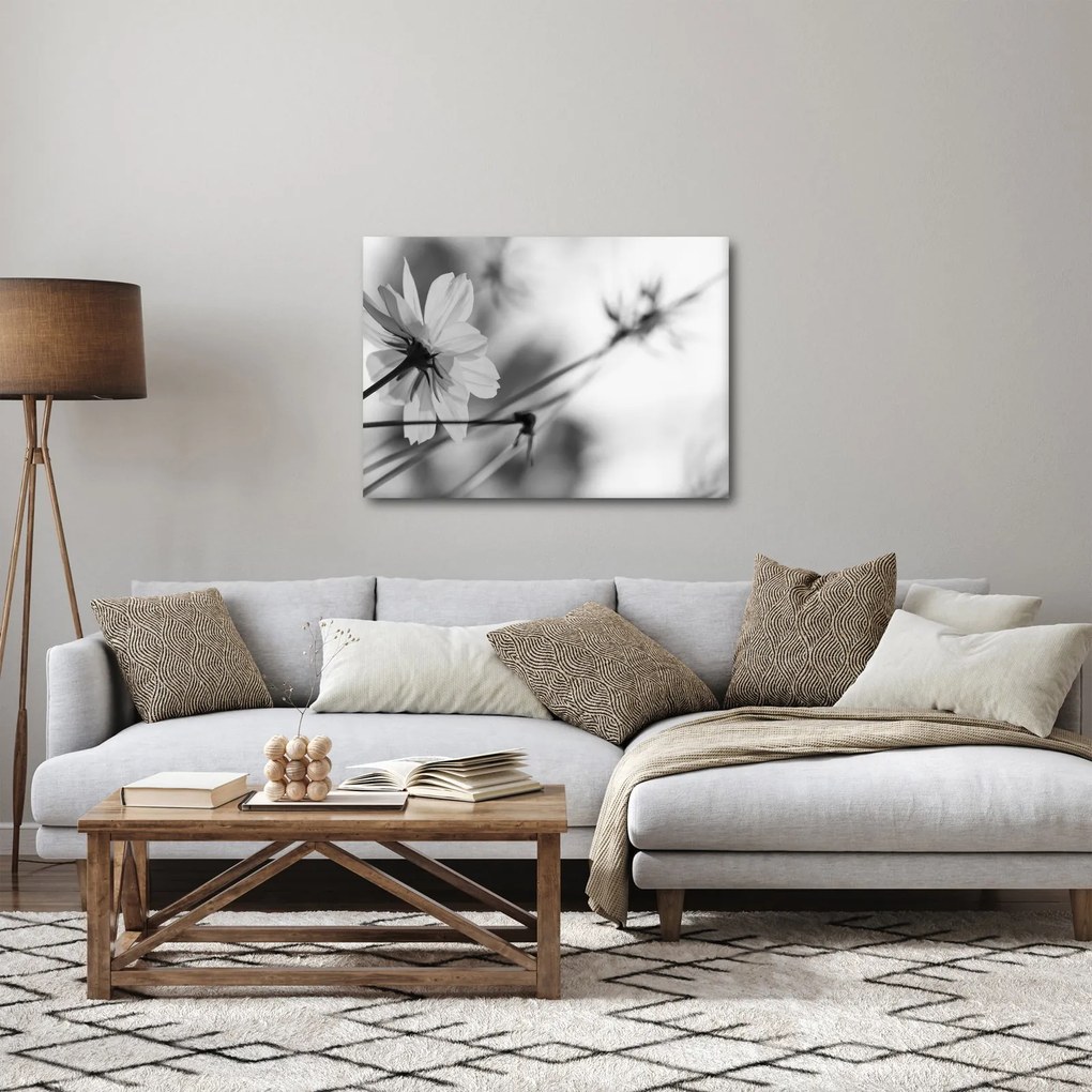 Obraz - Čiernobiele kvety (70x50 cm)