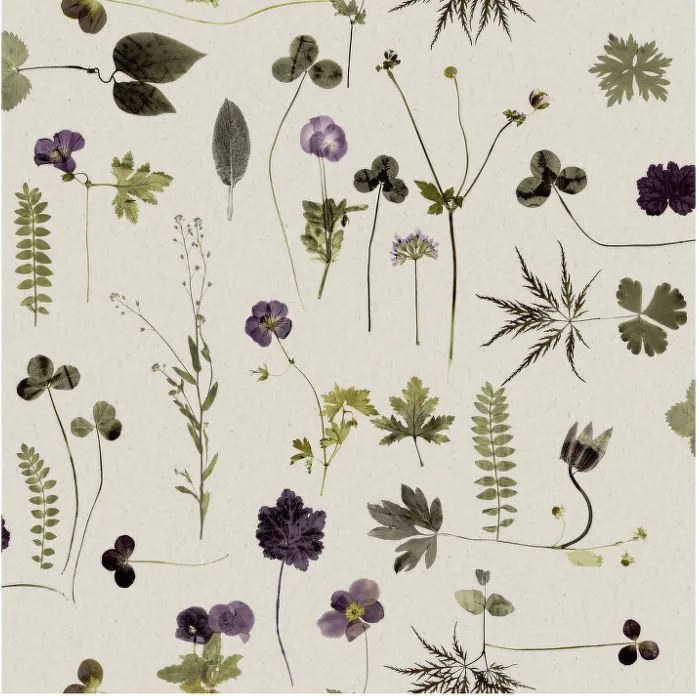 Engblad&Co Tapeta Botanica 3661