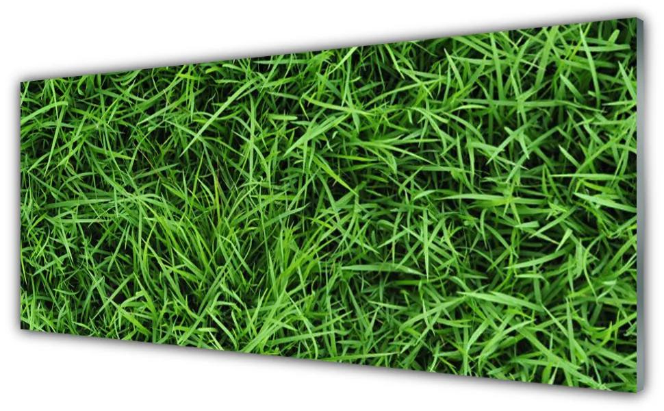 Obraz na akrylátovom skle Tráva trávnik 125x50 cm