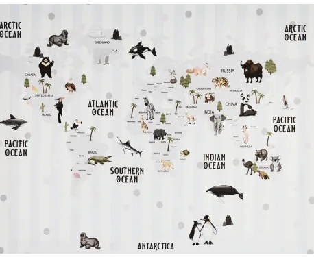 Obraz tlačený na plátne 40x50 PRC1081