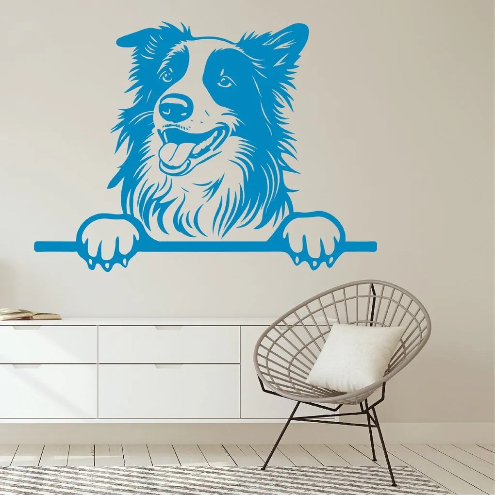 Veselá Stena Samolepka Veselá Border kólia Farba: červená, Veľkosť: 100 x 72 cm